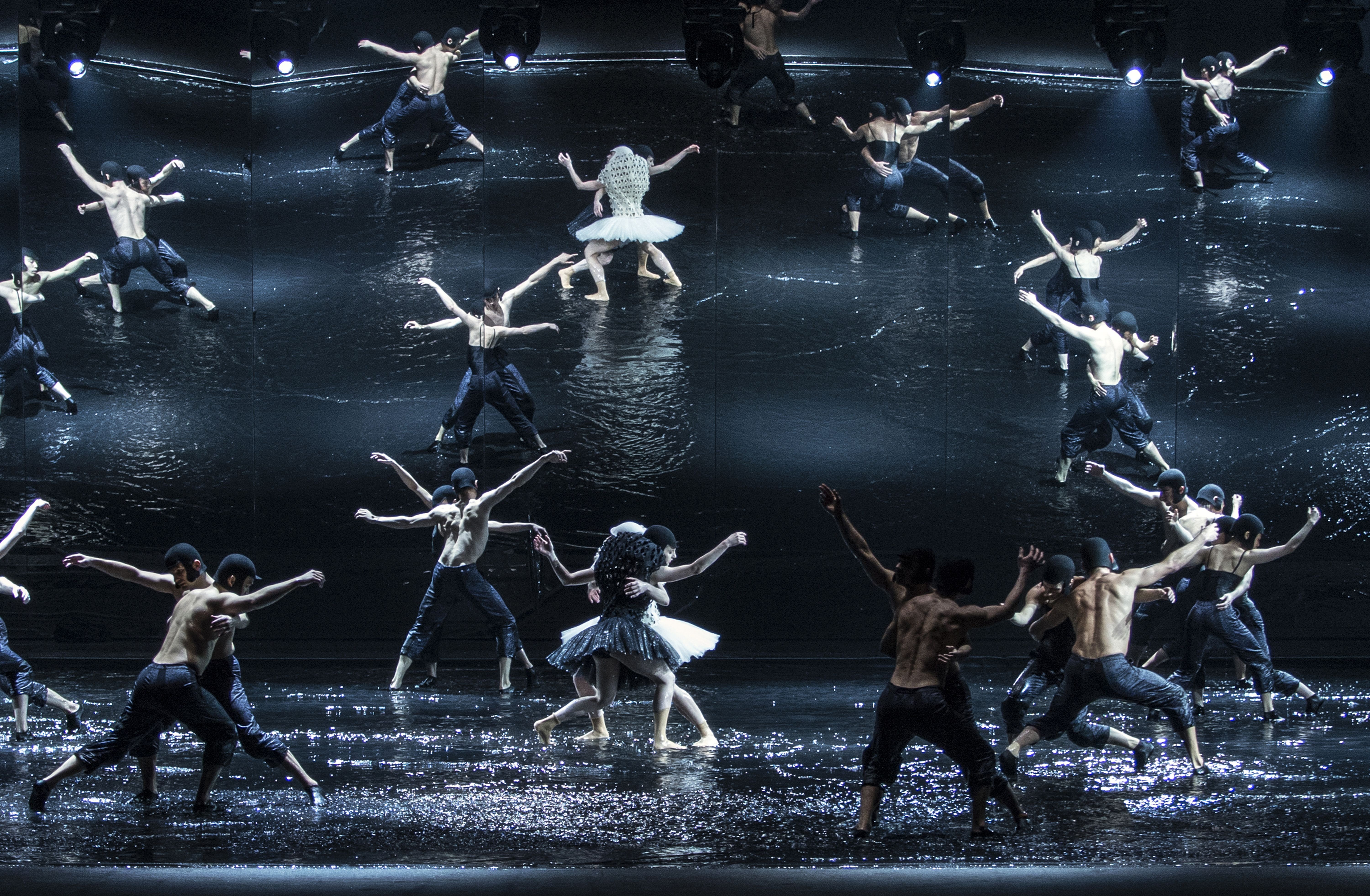 A Swan Lake (Photo © ErikBerg)